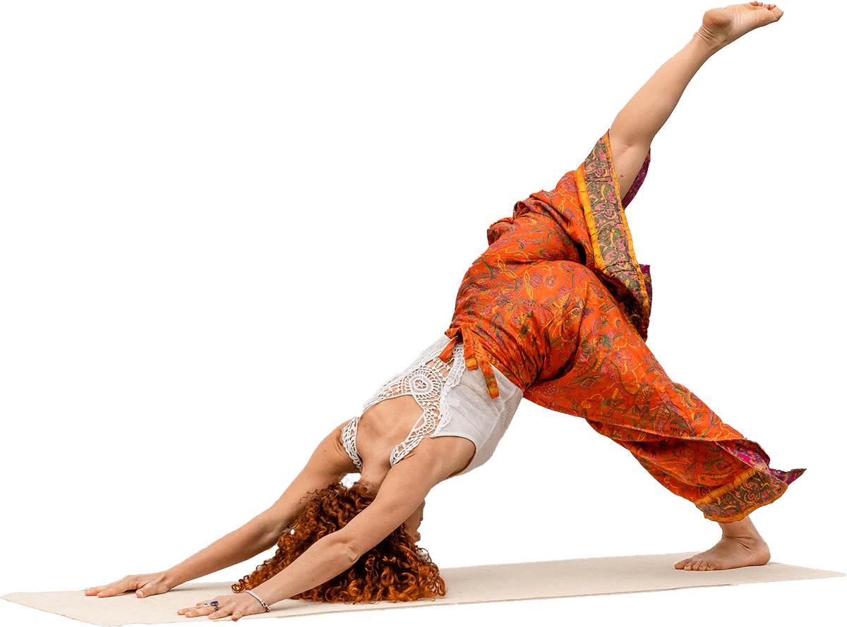 Carolina Lino Yoga